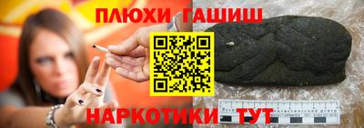 гидра Можга