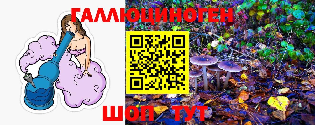 Галлюциногенные грибы GOLDEN TEACHER Арзамас
