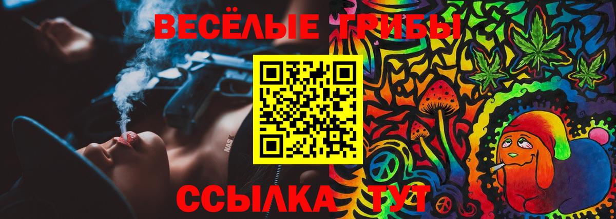 Псилоцибиновые грибы GOLDEN TEACHER  Вход с VPN  Арзамас  Галлюциногенные грибы Cubensis 
